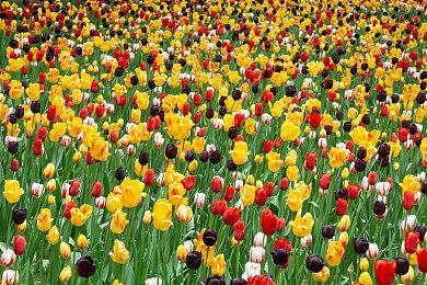 《空洞骑士：丝之歌》测试员保证本作并未陷入开发困境